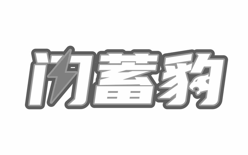 转让商标-闪蓄豹