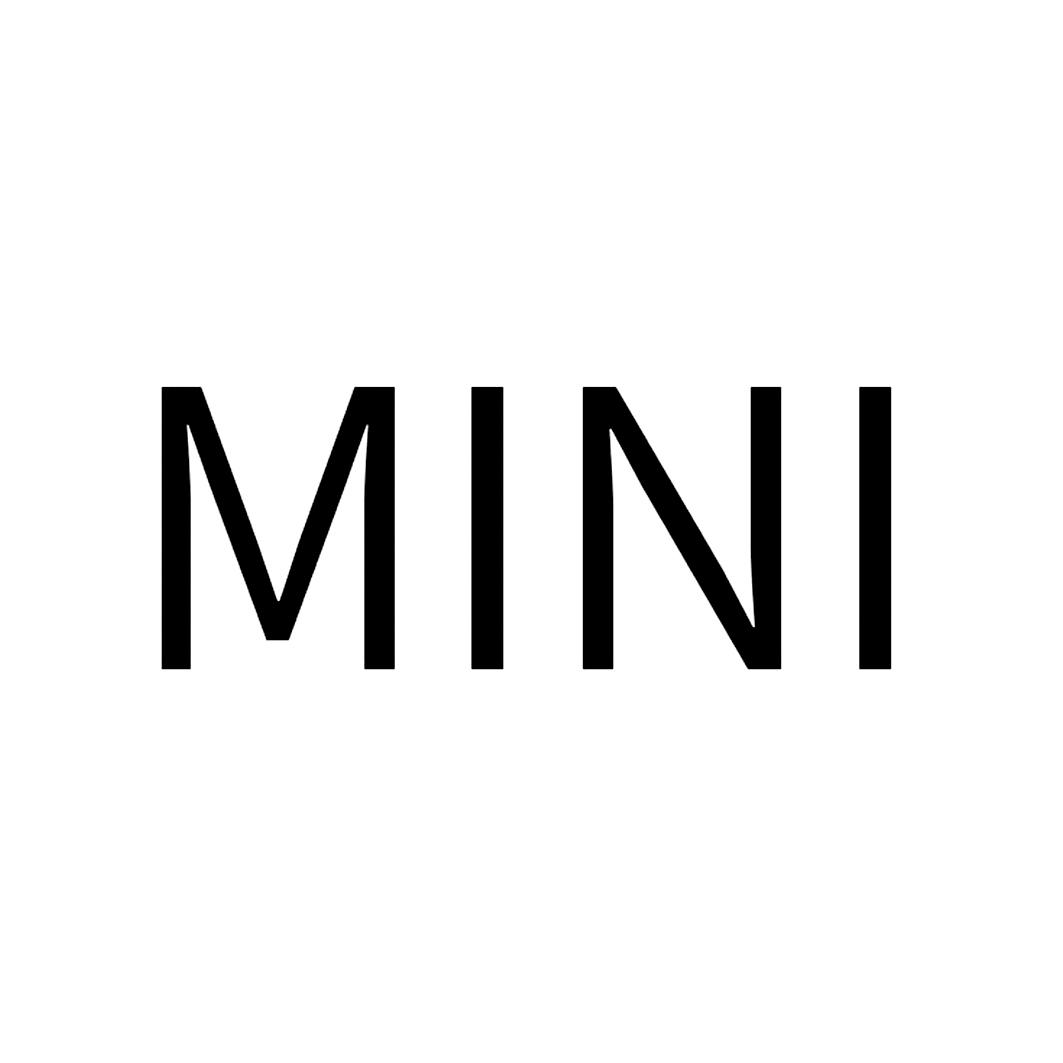 商标文字mini商标注册号 56041506,商标申请人爱玛科技