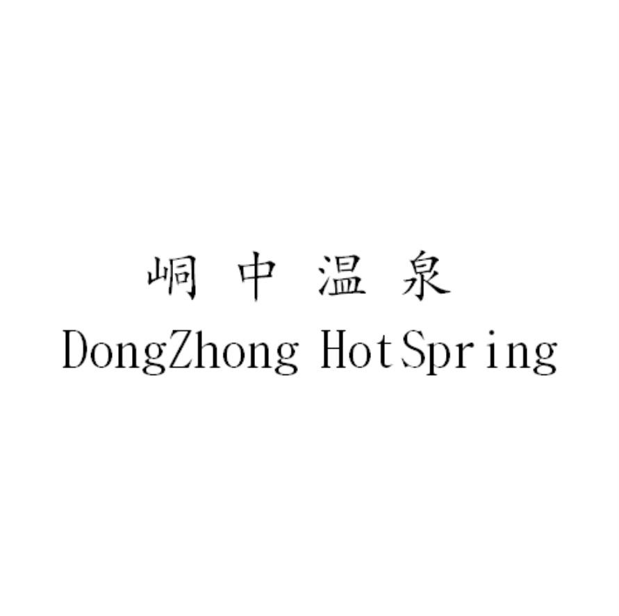商标文字峒中温泉 dongzhong hotspring商标注册号 43259542,商标申请