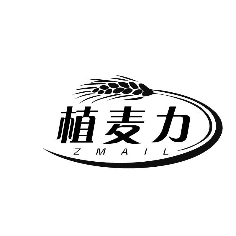 转让商标-植麦力 ZMAIL