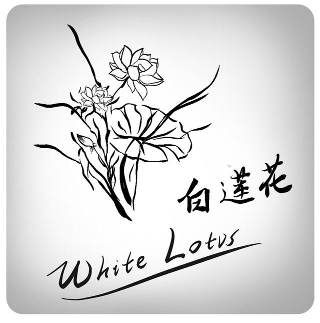 商标文字白莲花 white lotvs商标注册号 54409267,商标申请人南通筑眠