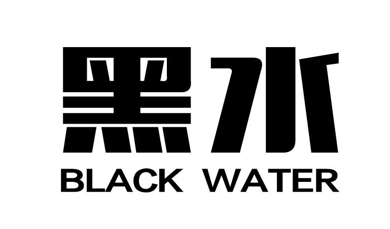 商标文字黑水 black water,商标申请人山西优珍食品饮料有限公司的