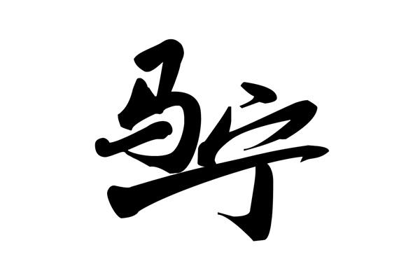 商标文字马宁商标注册号 54174957,商标申请人武汉光灸国际贸易有限