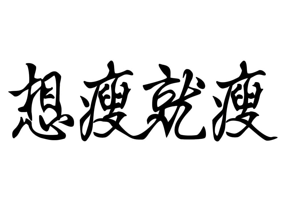 商标文字想瘦就瘦商标注册号 46517071,商标申请人山东俊琪生物科技
