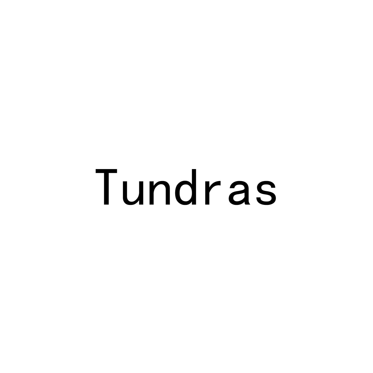 转让商标-TUNDRAS