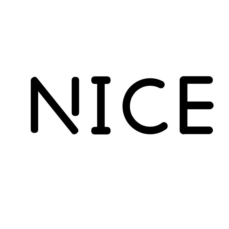 nice是什么意思英语图片