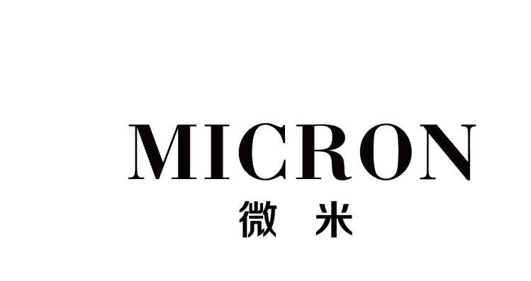 商标文字微米 micron商标注册号 29723853,商标申请人东阳市微米针织
