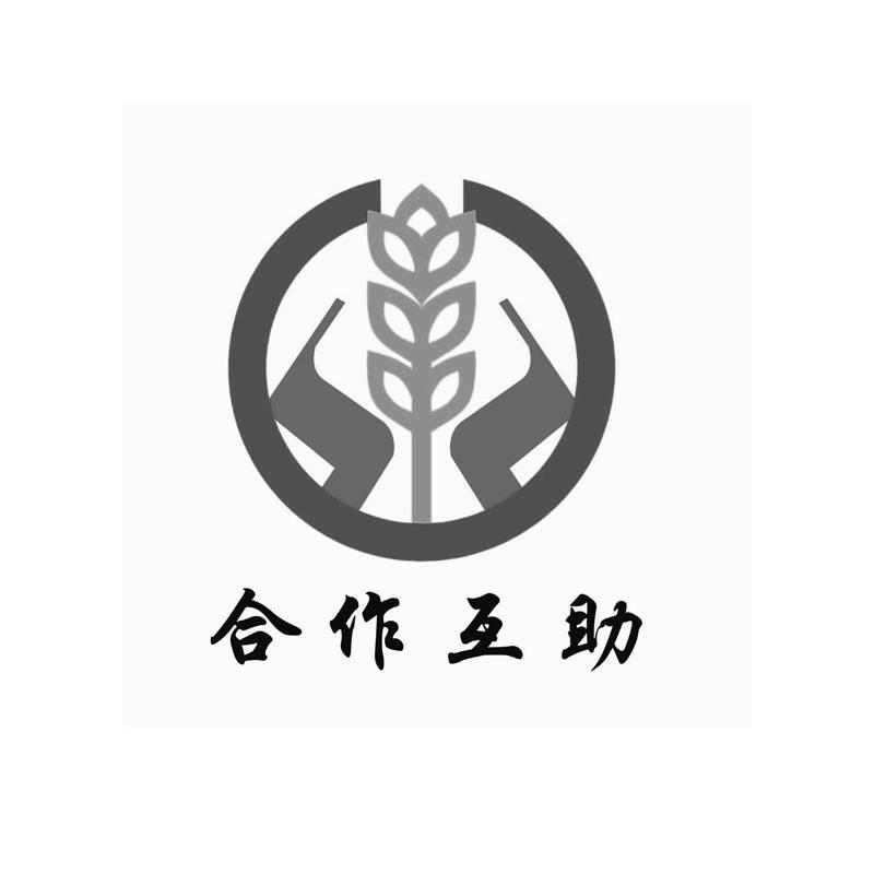 合作商家logo排版图片