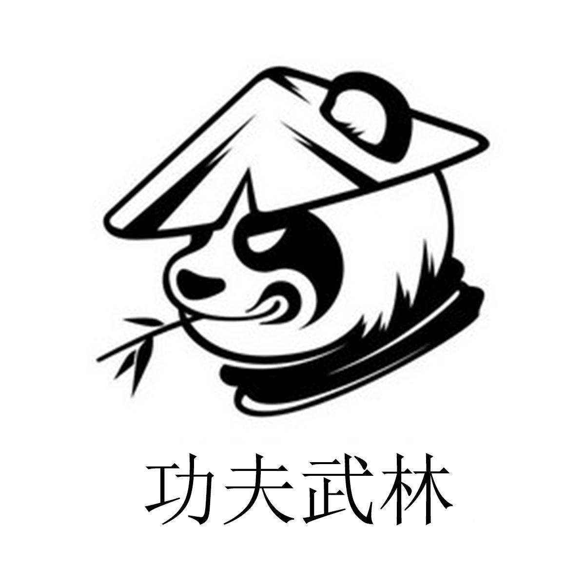 商标文字功夫武林商标注册号 57955951,商标申请人厦门武林科技有限