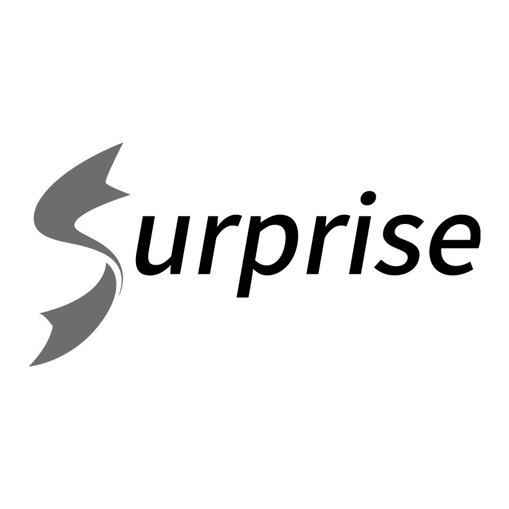 商标文字surprise商标注册号 51625134,商标申请人深圳市惊喜网购科技
