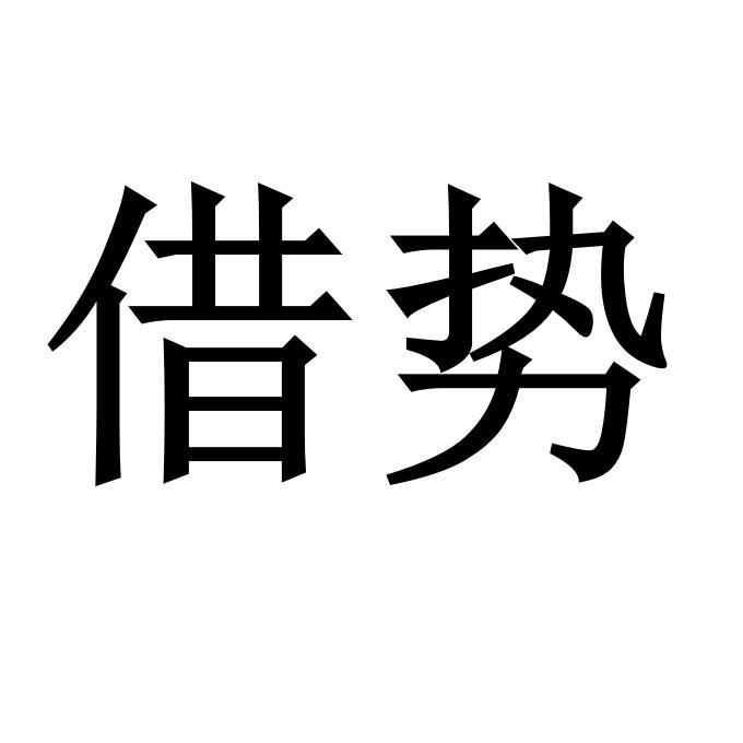 商标文字借势商标注册号 44694972,商标申请人河南实践者企业管理咨询