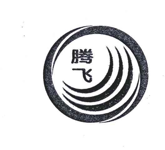 商标文字腾飞商标注册号 4879245,商标申请人沈阳市腾飞防水保温材料